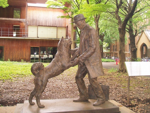 Faithful dog: Hachi-Ko