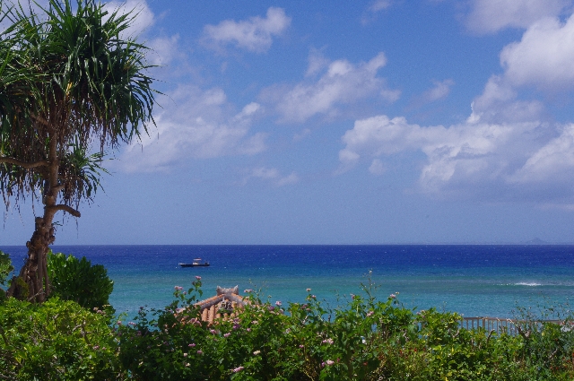 Okinawa Ryori (Okinawan Cuisine)