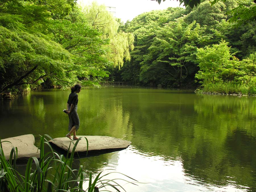 Pond Pond