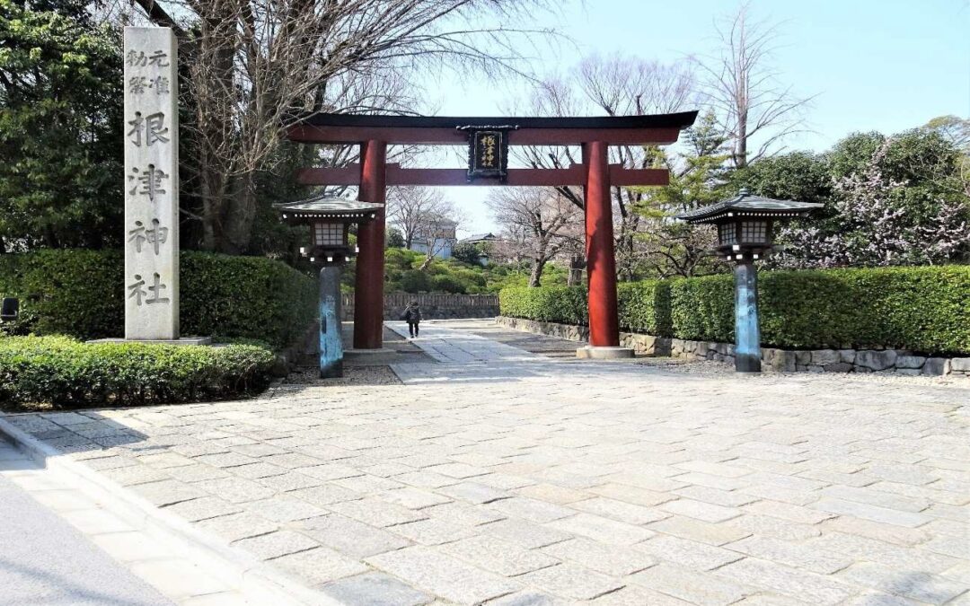 Nezu Shrine and its neighborhood areas